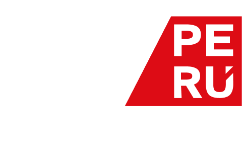 logo webflowperu